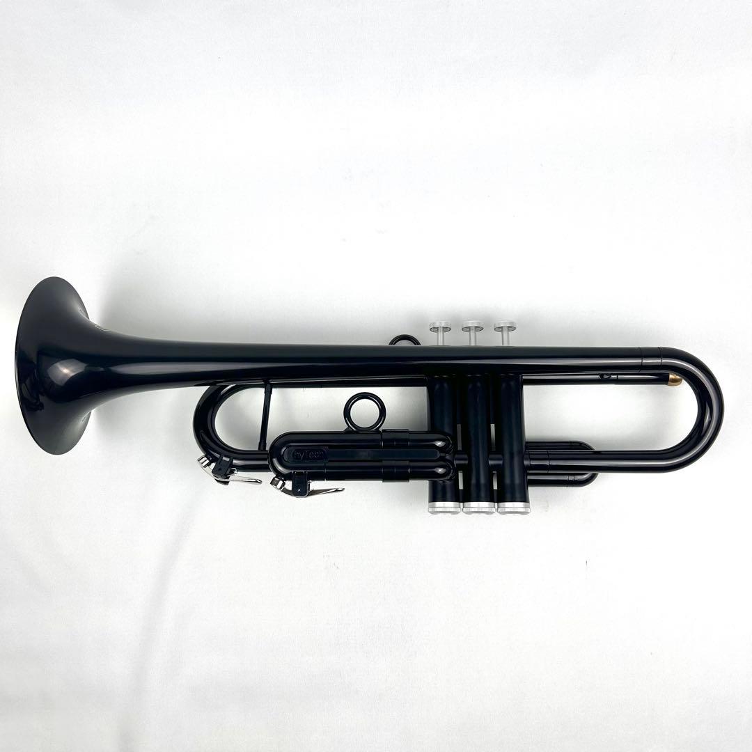 【極美品】hyTech pTrumpet ピートランペット ハイテック ブラック