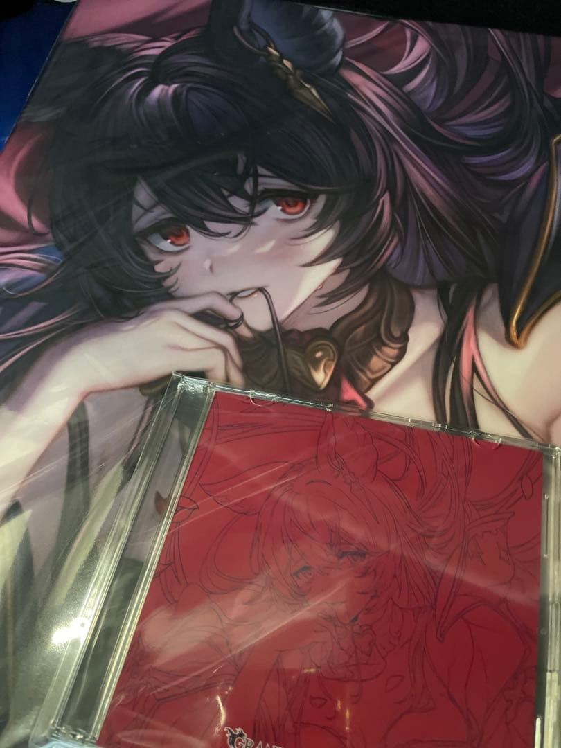 グラブルフェス　グラフェス　2025 抱き枕カバー ニーア 十賢者　⑤