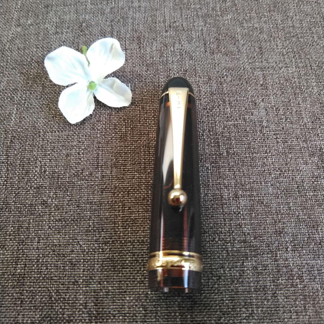 パイロットカスタム 74 PILOT CUSTOM 74 万年筆 クリアブラウン