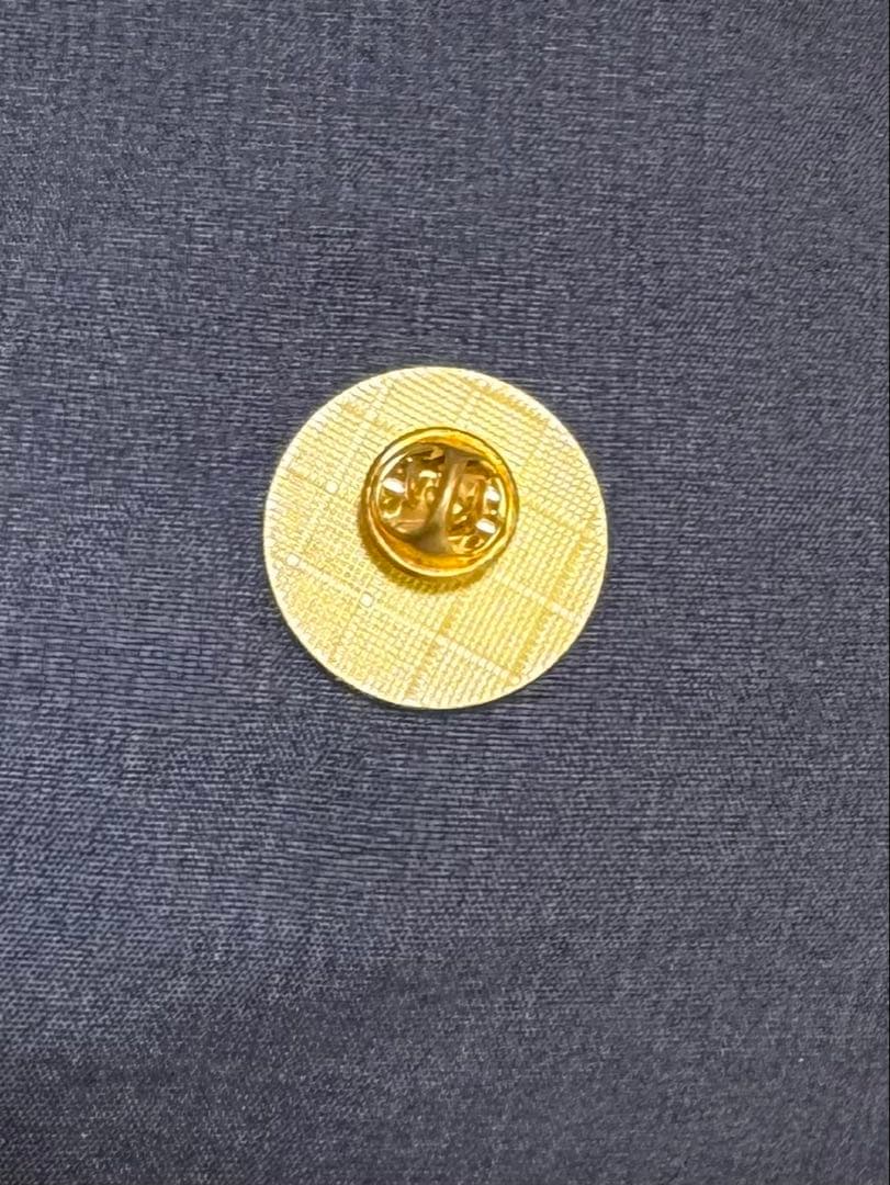 大阪関西万博 EXPO2025 コモンズＤパビリオン 非売品 VIP ピンバッジ