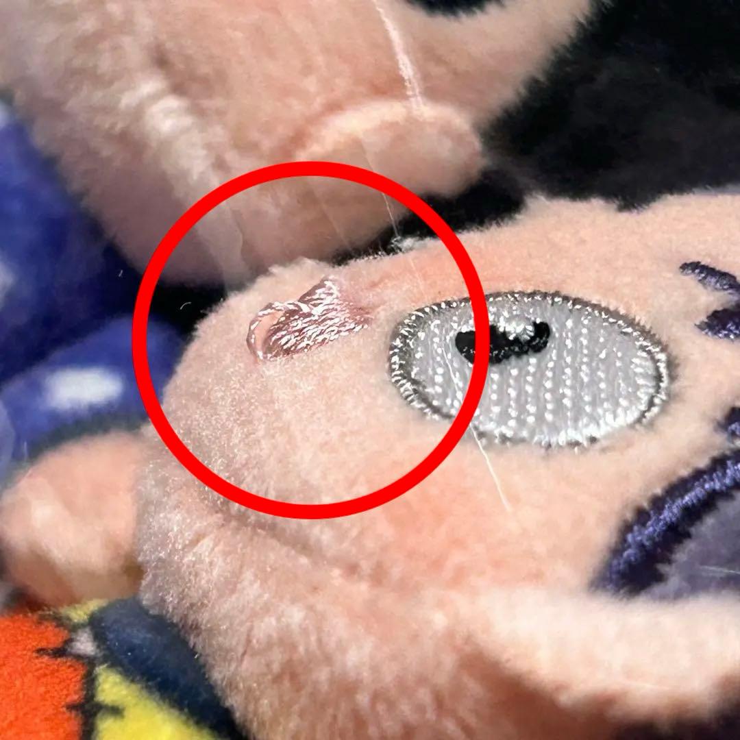 忍たま乱太郎　ほわぬい　ナンジャタウン　12体セット