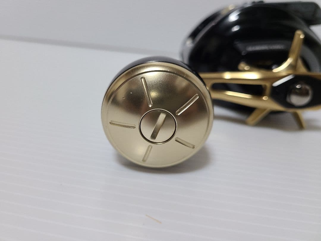 ダイワ　21シーボーグG300J