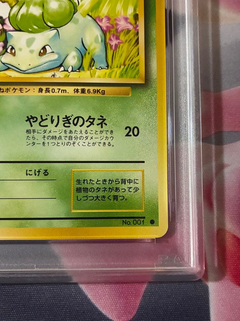 PSA9☆ 旧裏 フシギダネ マーク有り