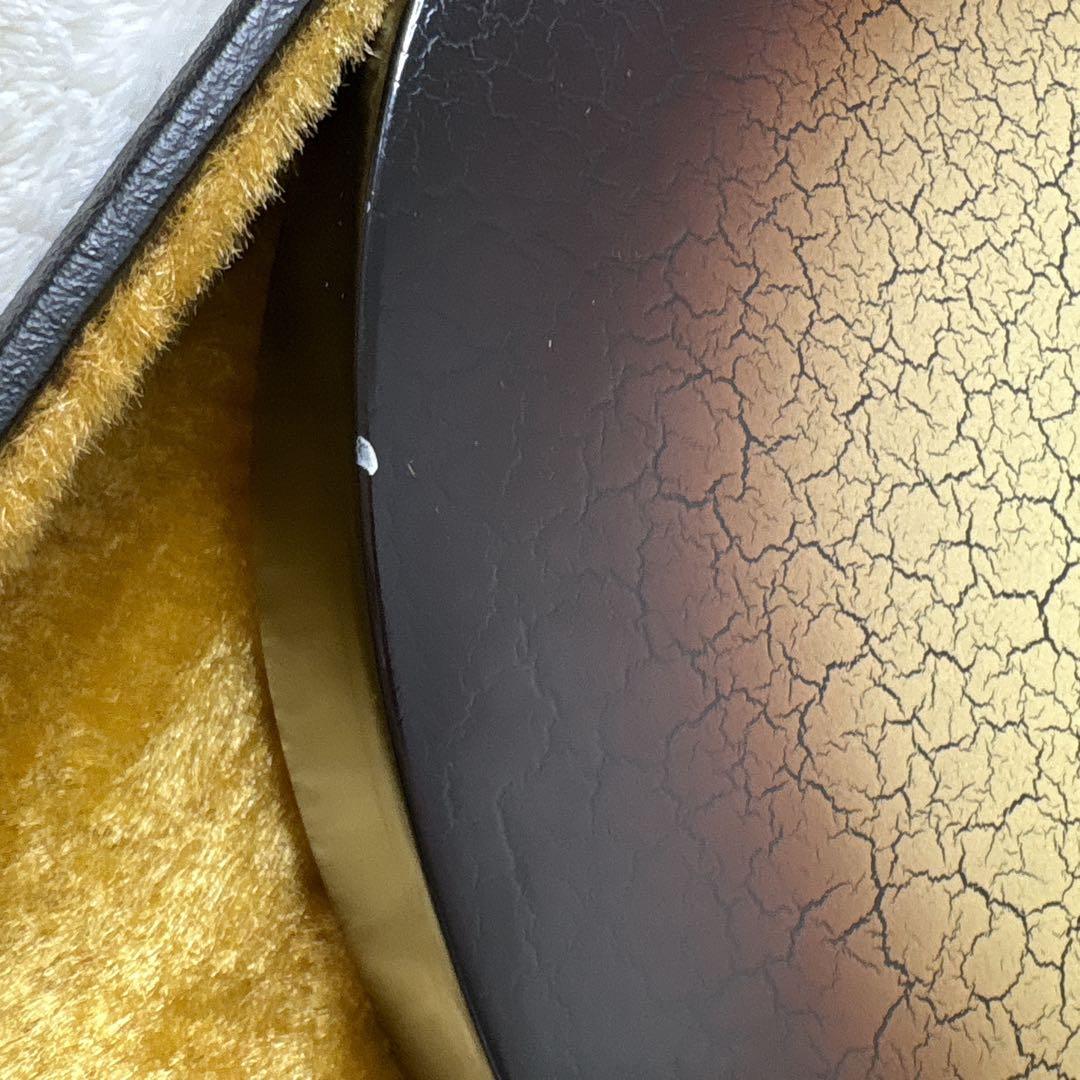 【激レア】　アイバニーズ　DN-400