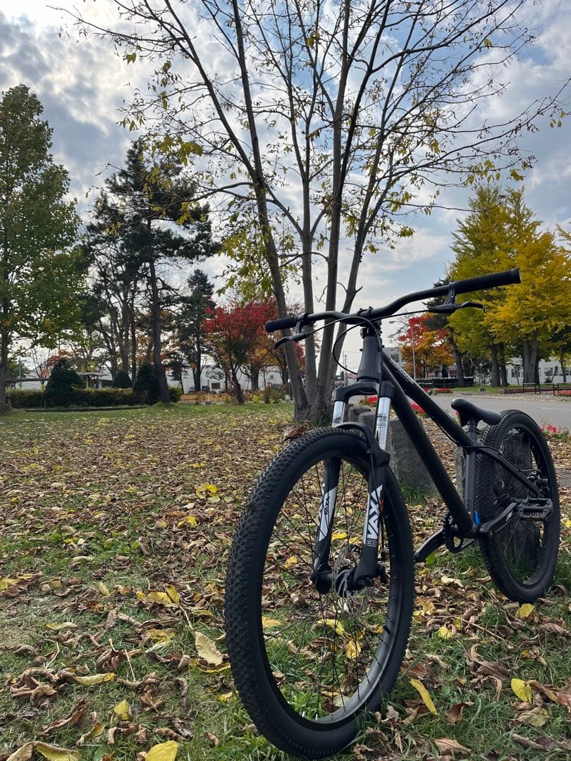 ダートジャンプ マングース FIRE BALL MOTO