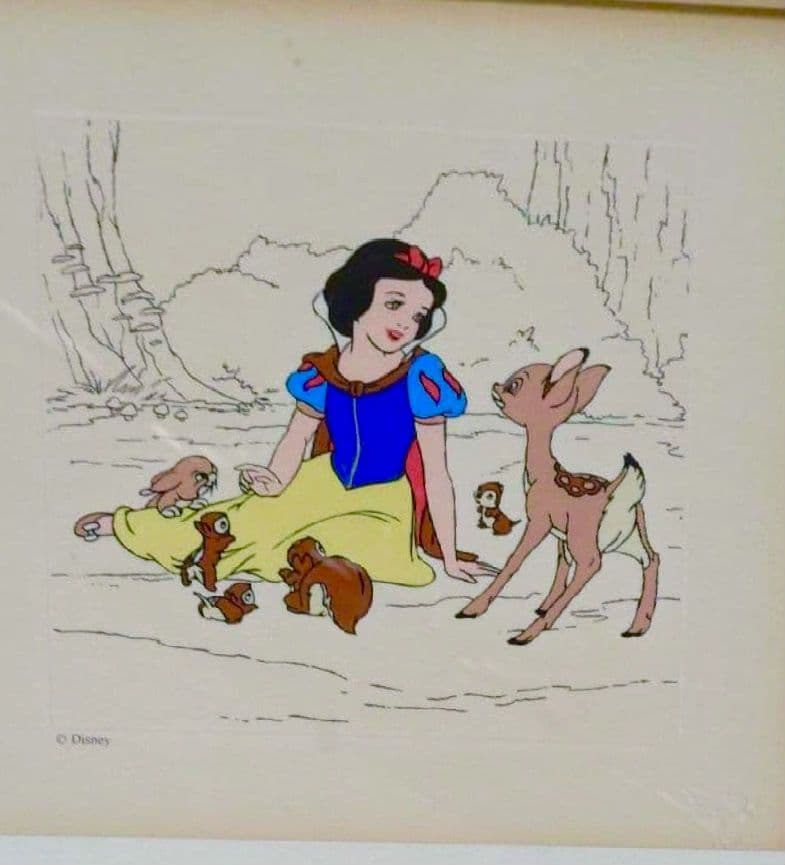 白雪姫　ディズニー　入手困難　限定　廃盤　激レア 　ヴィンテージ