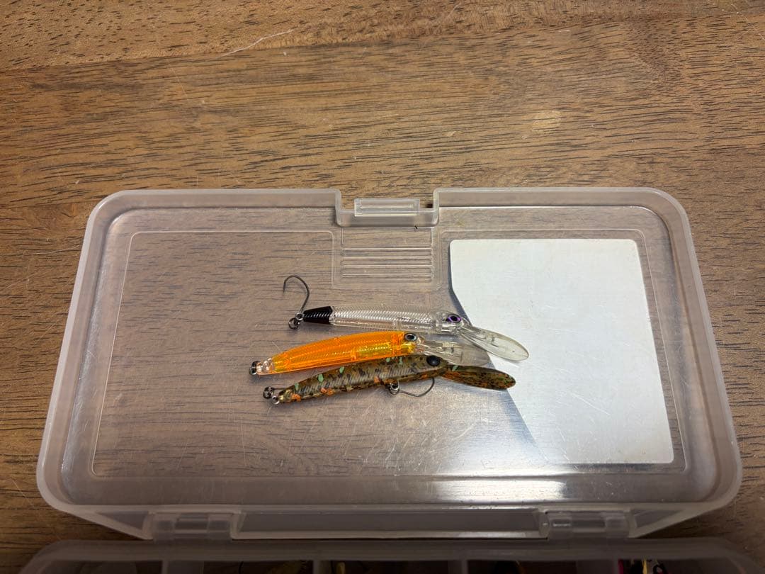 エリアトラウト引退セット