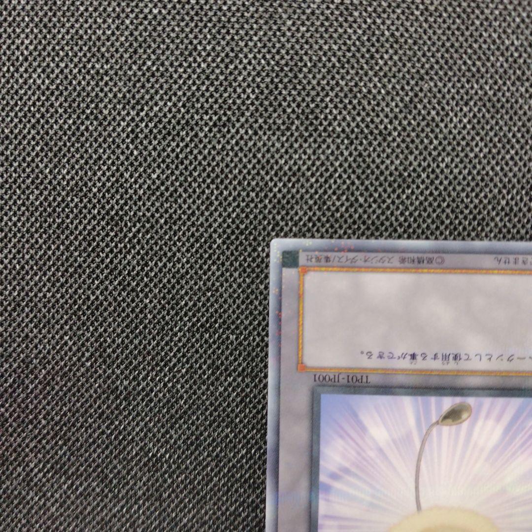 綿毛トークン パラレル 2種 TP