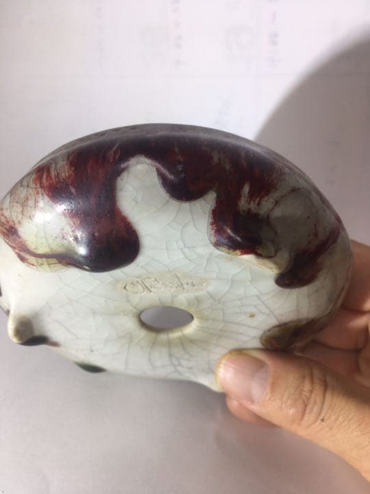 「菊池春陽」盆栽鉢