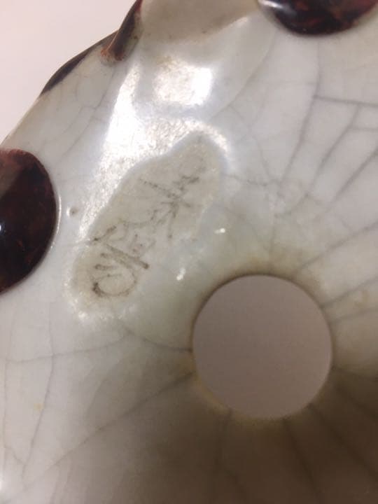 「菊池春陽」盆栽鉢