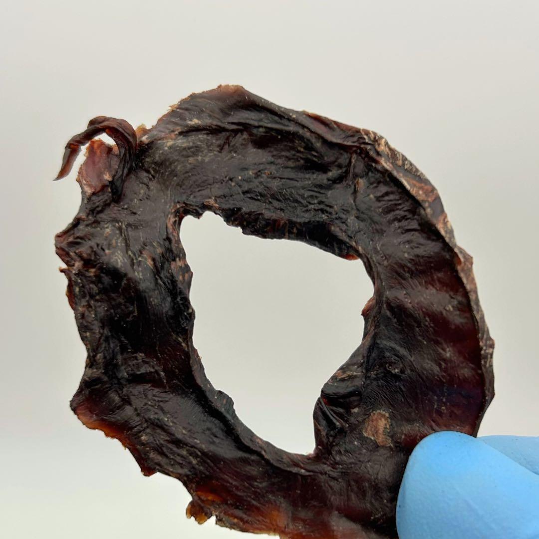 ドッグフード INAUSA