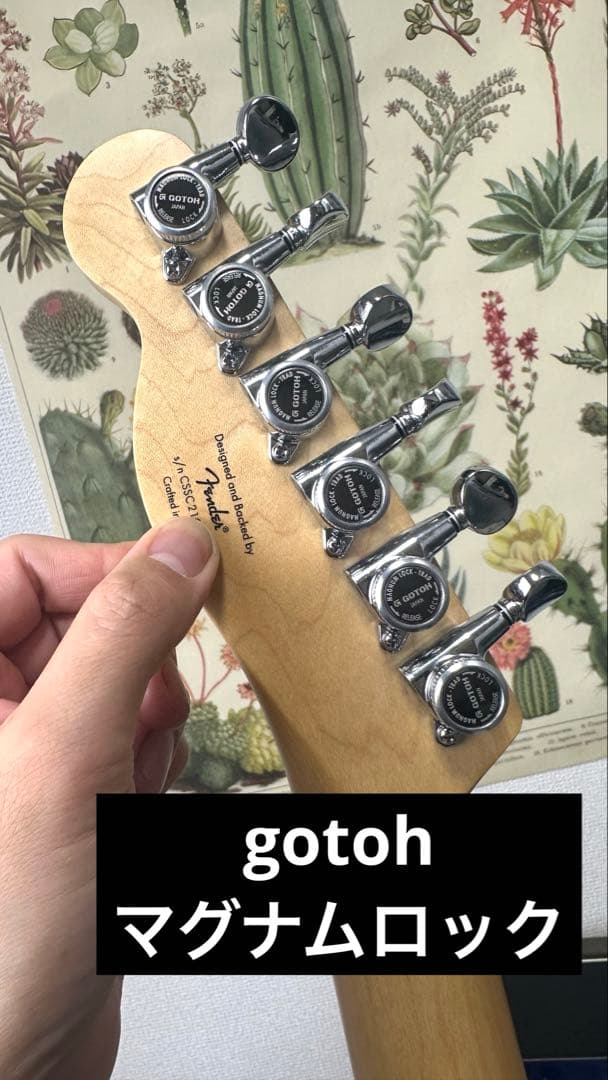 Squier Affinity Telecaster　 MOD