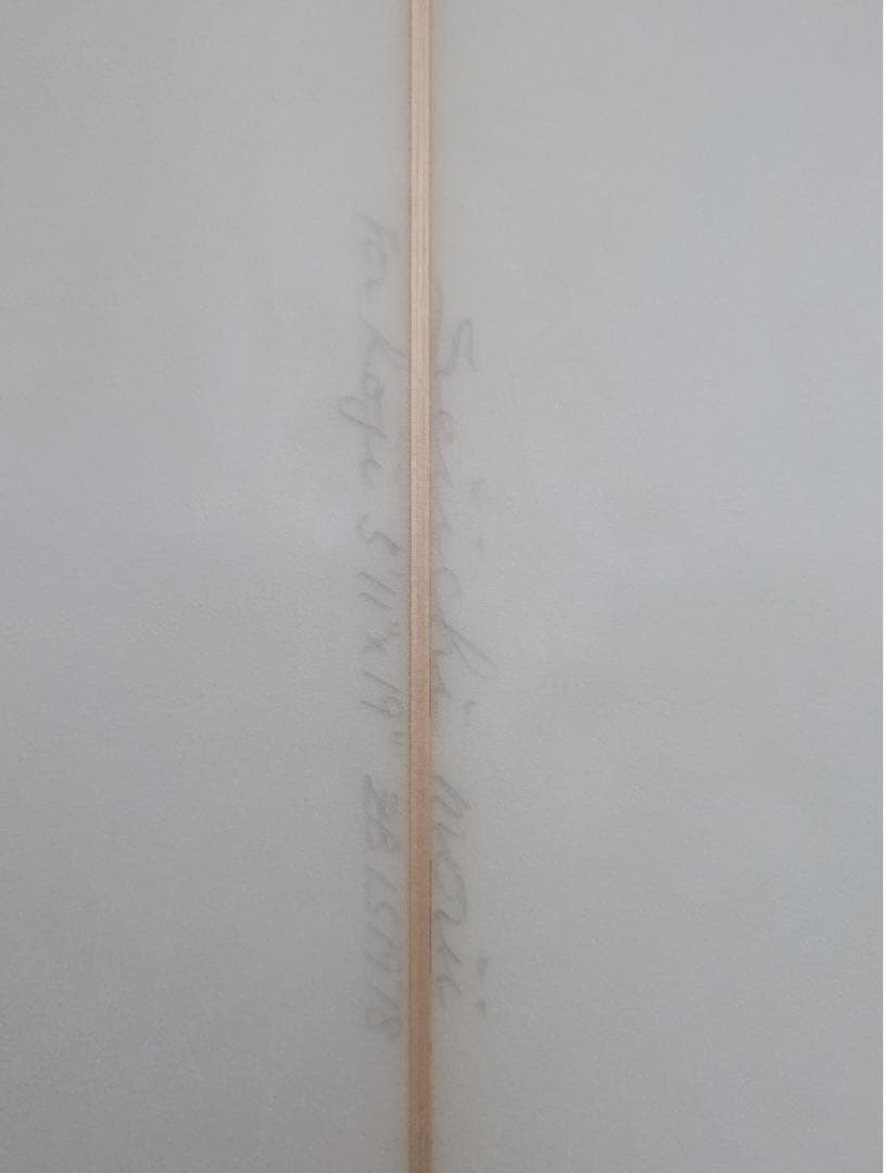 ZBURH CUSTOM(ゼブラ)サーフボード5'11 トライフィン FCS2