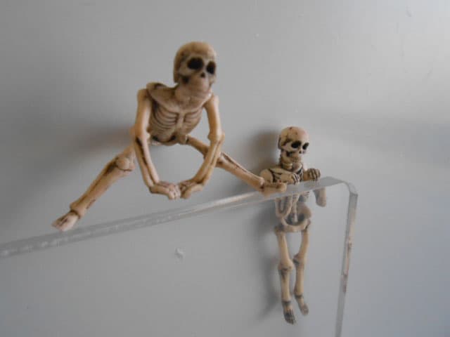 ♯Jzi12AHコップのフチボーン人気5種