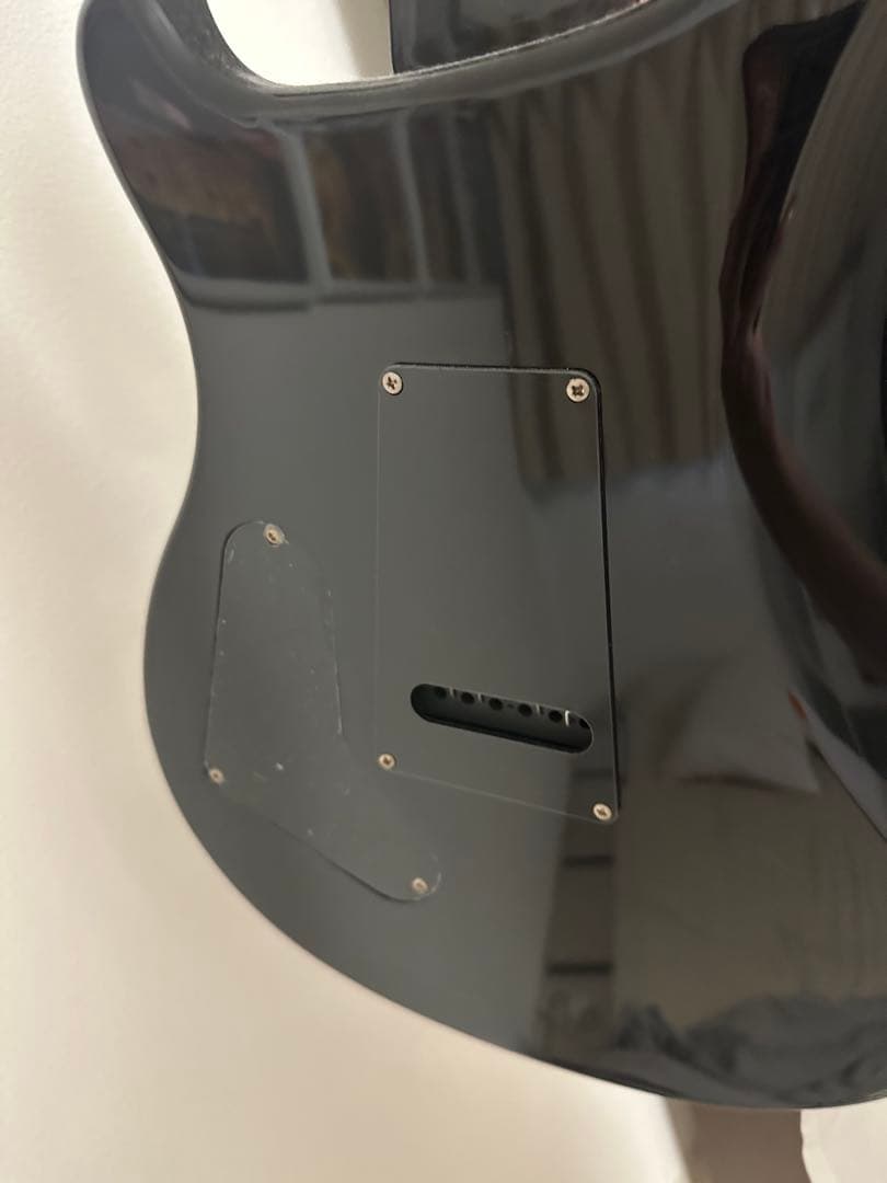 ギター PRS SE Custom24 Gray Black