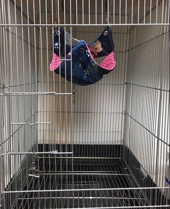 モモンガハウス(プリン・ソフトクリーム)  ボアピンク 2050円