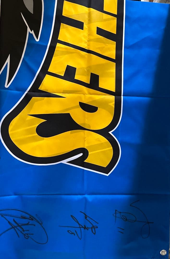 パンサーズ　応援旗　タペストリー