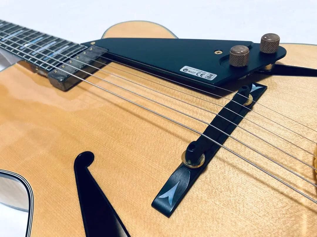 美品 FUJIGEN/フジゲン MFA-FP フルアコ