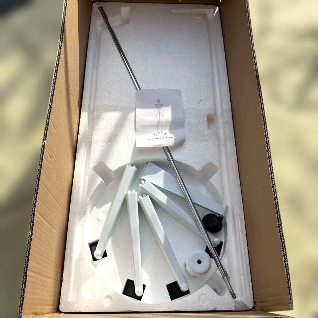 可動関節付き全身骨格模型 等身大約180cmキャスター付き