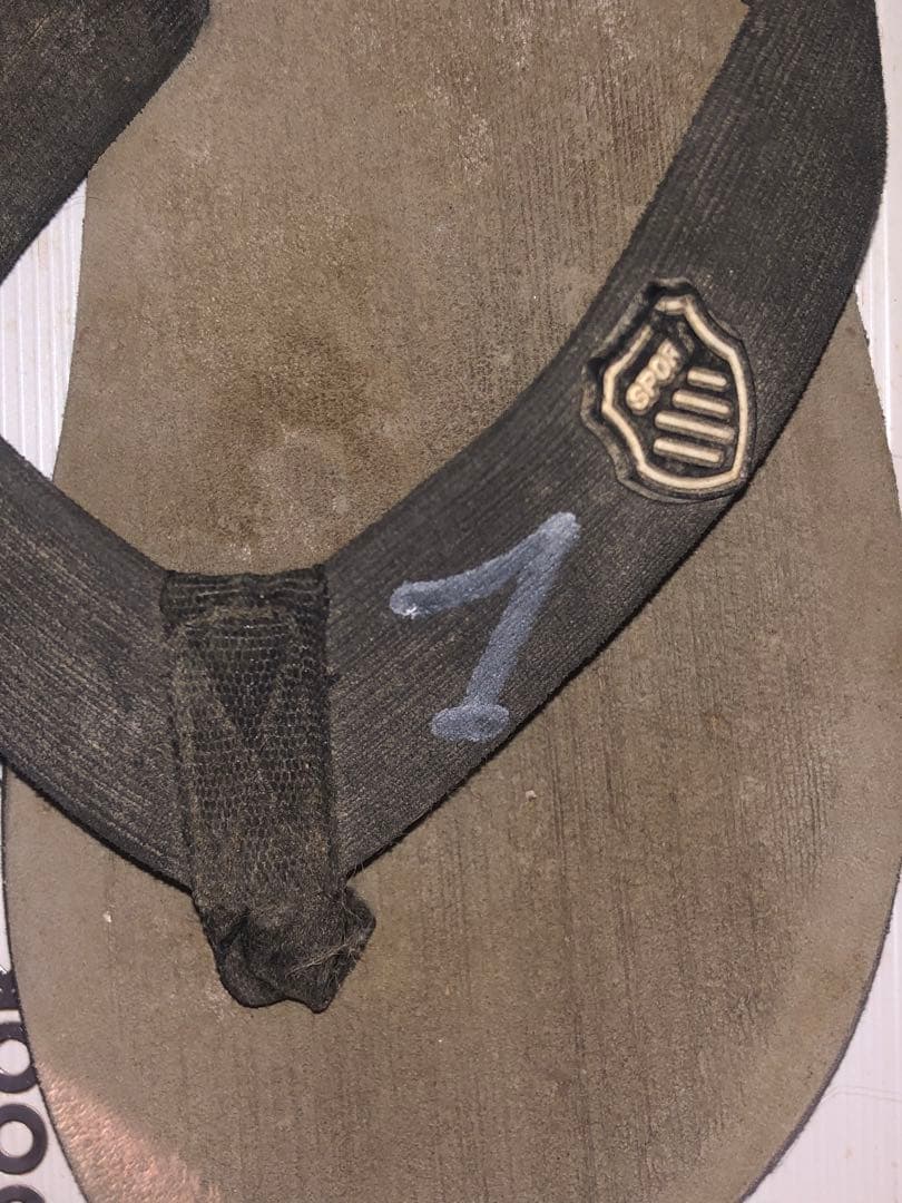 映画GRANBLUEのジャックマイヨール 直筆サインの虎と彼のビーサン査定1/5