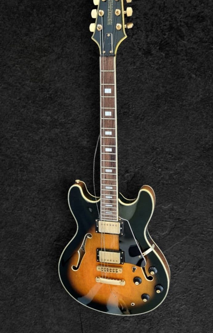 アリア Aria Pro II TA-IIITA-3 セミアコギターサンバースト