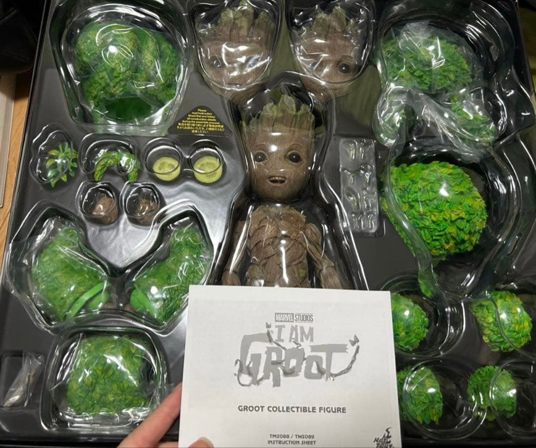 ホットトイズ　アイ・アム・グルート　hottoys groot グルート