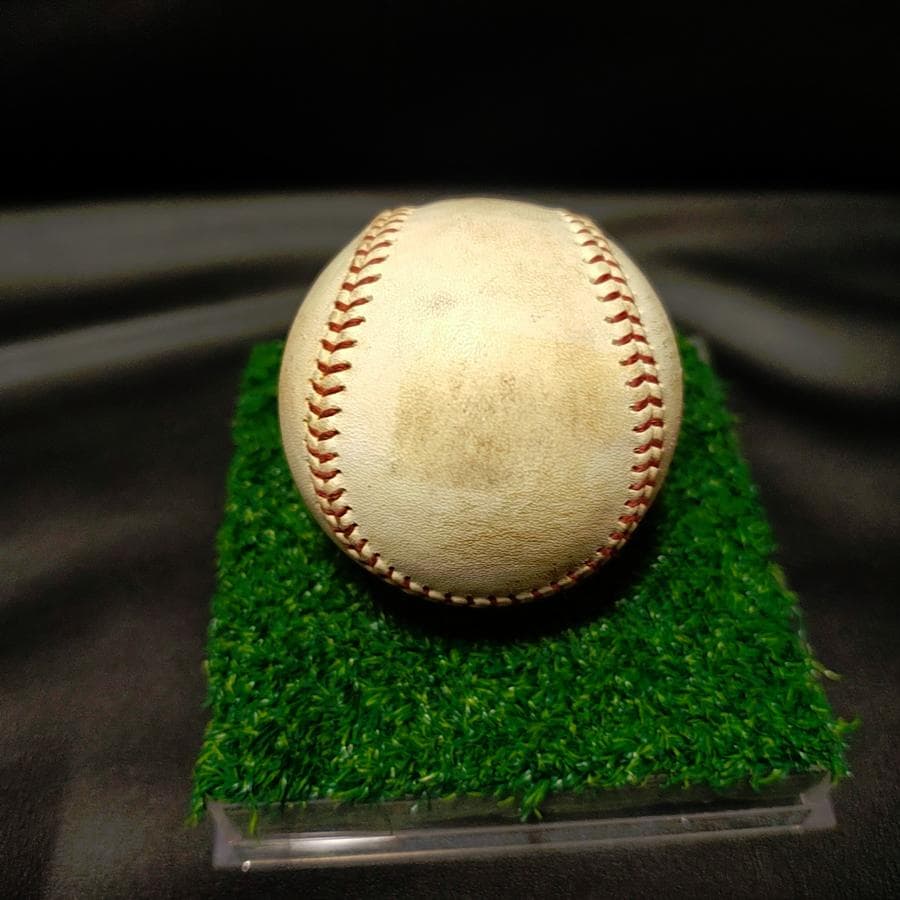 東京ヤクルトスワローズ 池山隆寛 2002年 引退記念直筆サインボール