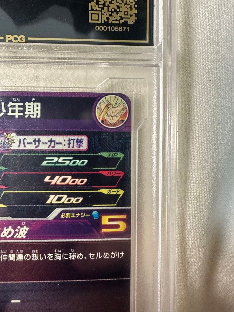 H2-16P 孫悟飯　PCG10