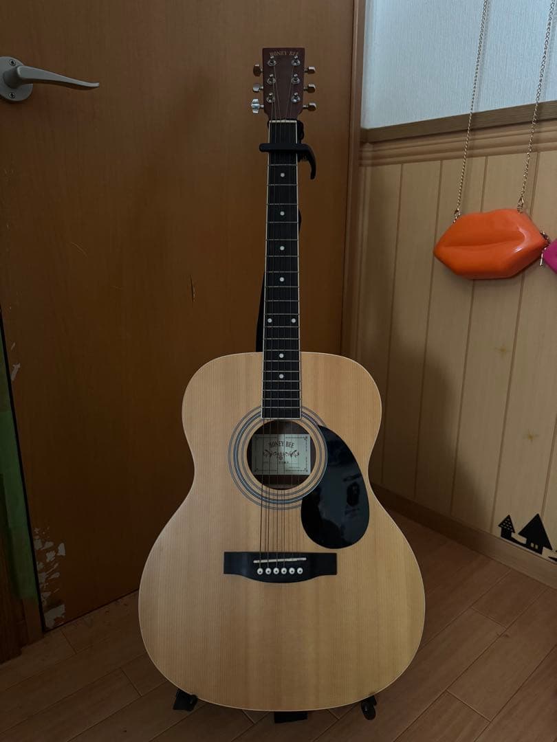 アコースティックギター スプルースボディ