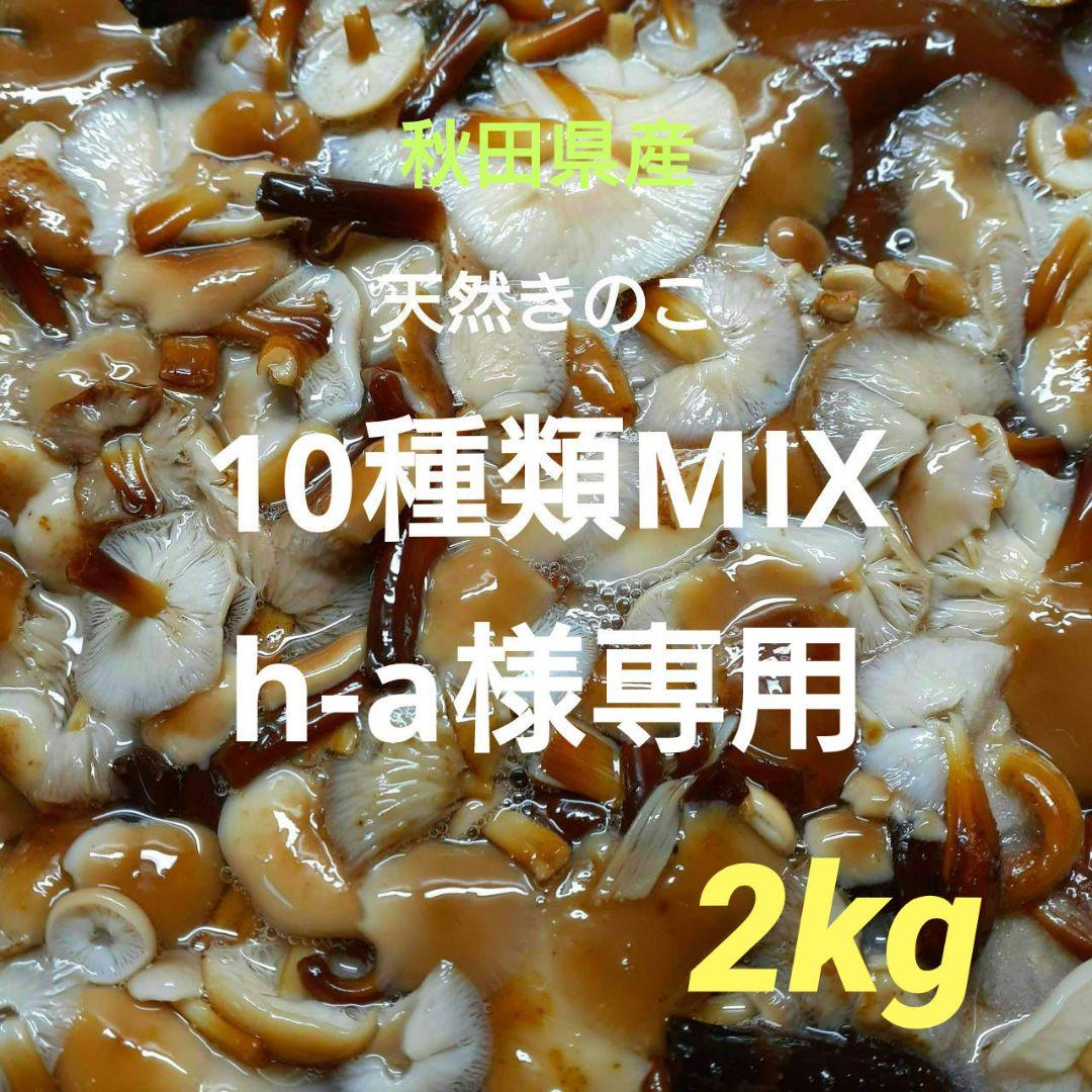 秋田県産 天然きのこ 10種類MIX 塩漬け