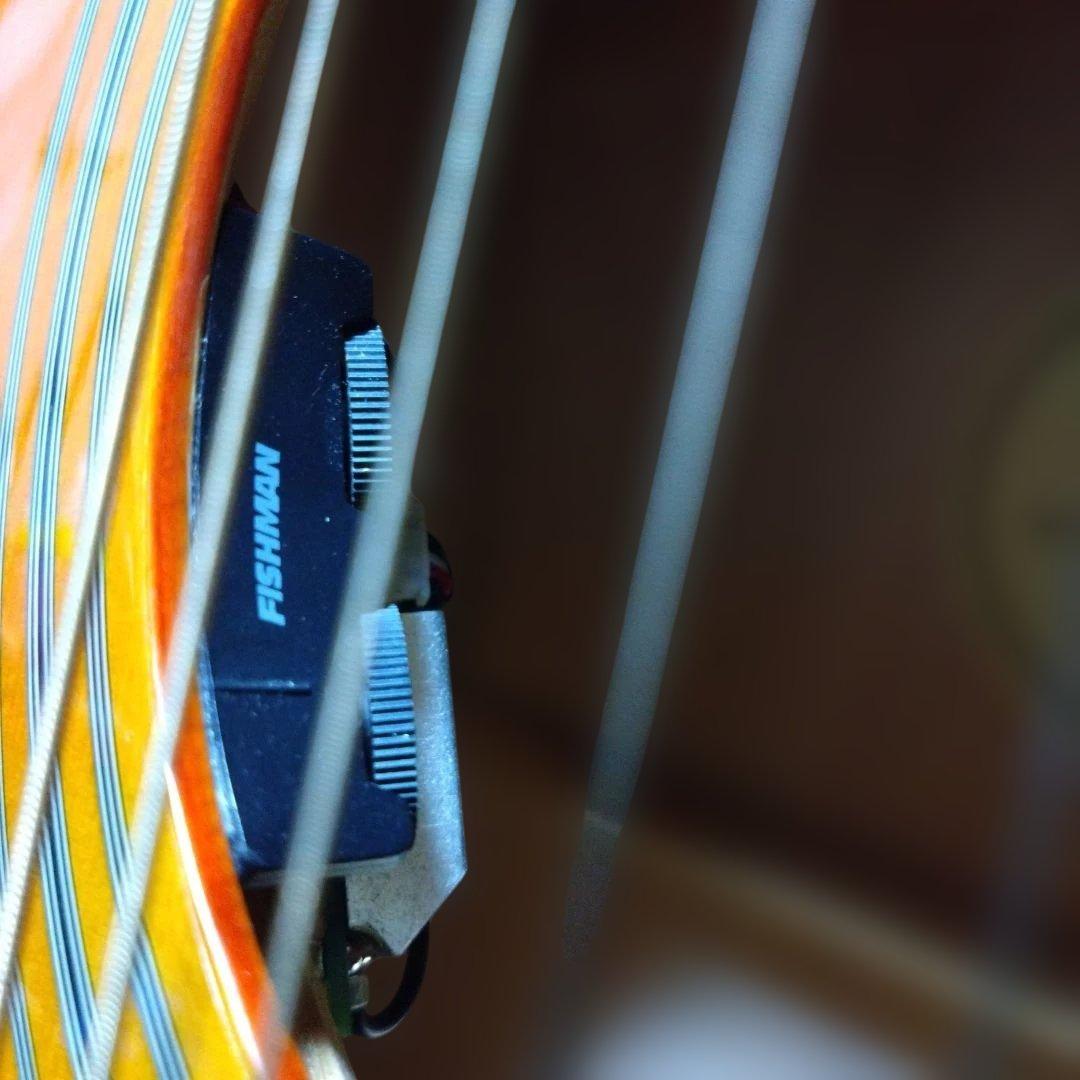 ビ*イ様 Epiphone DOVE PRO エレアコ