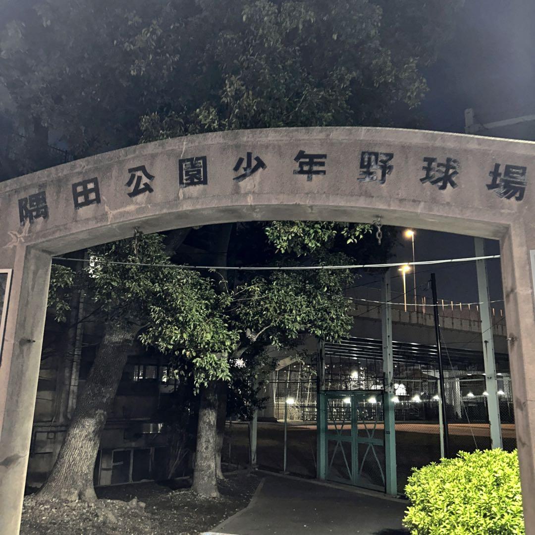 【王選手が育った日本最初の少年野球場】隅田公園少年野球場の石10個セット