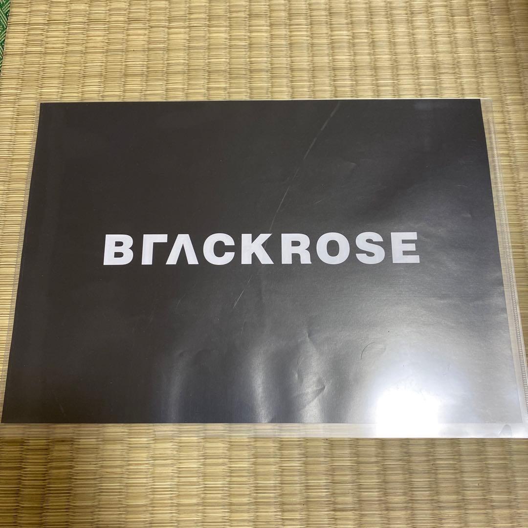 BLACK ROSE ビラ