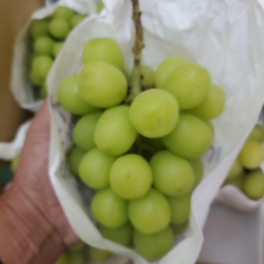 4️⃣ 山梨県産 シャインマスカット １０房入り 箱込み5.7キロ