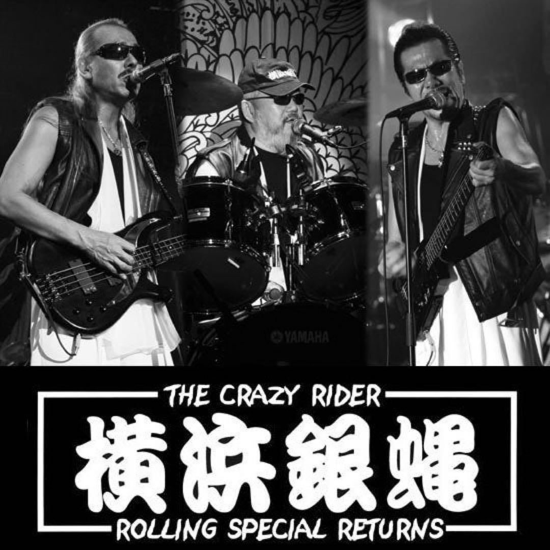 横浜銀蝿　サングラス　翔　30周年　anniversary