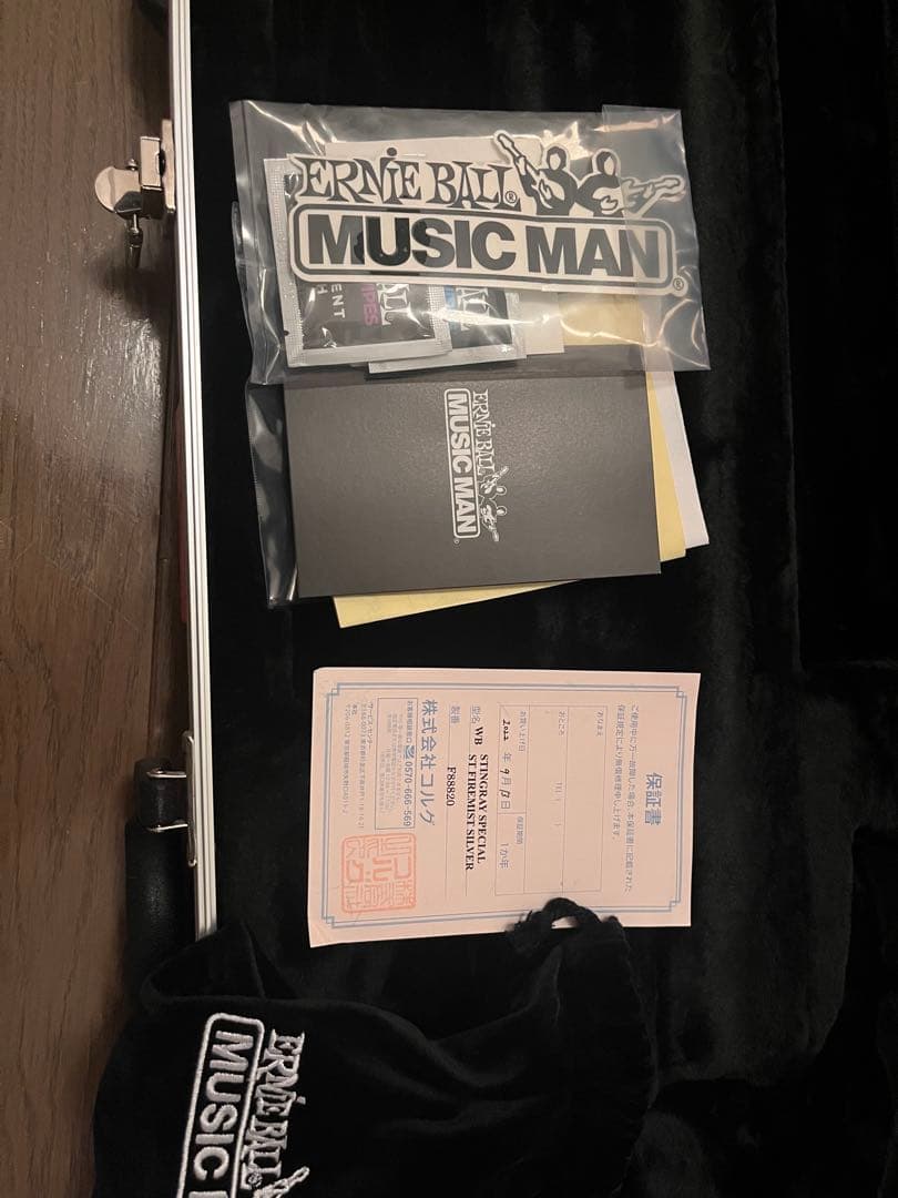 ミュージックマン StingRay Special シルバー