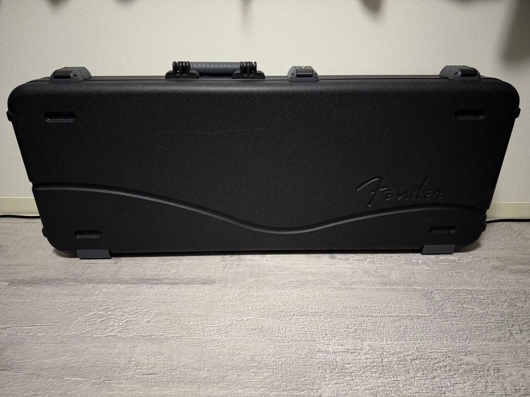 ギター Fender American professional ii strato