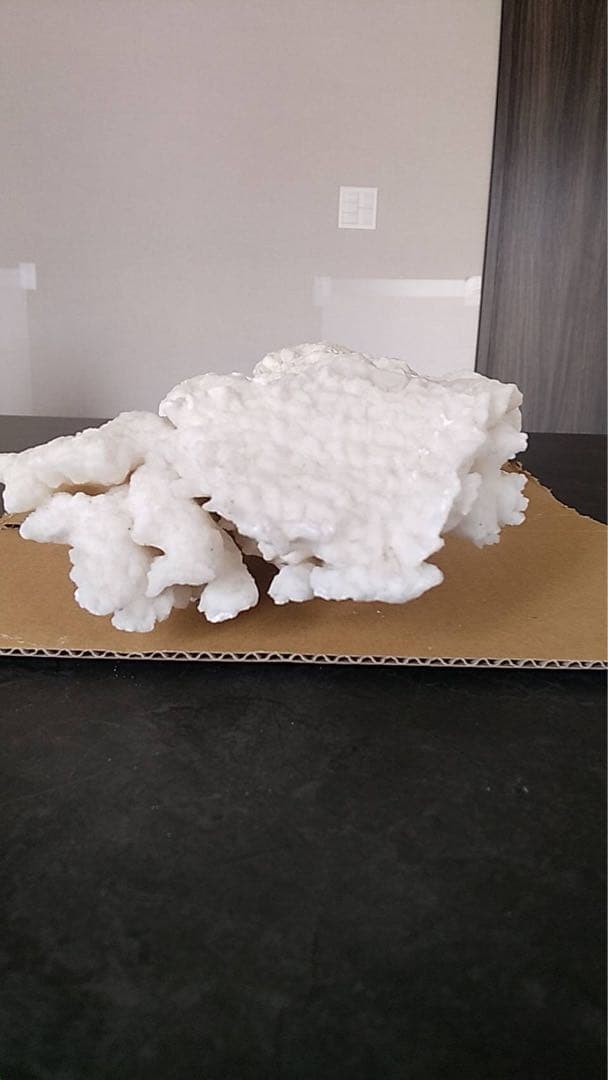 鍾乳石　天然石　天然記念　盆石　鉱物　化石　景石　結晶　古道具　オブジェ