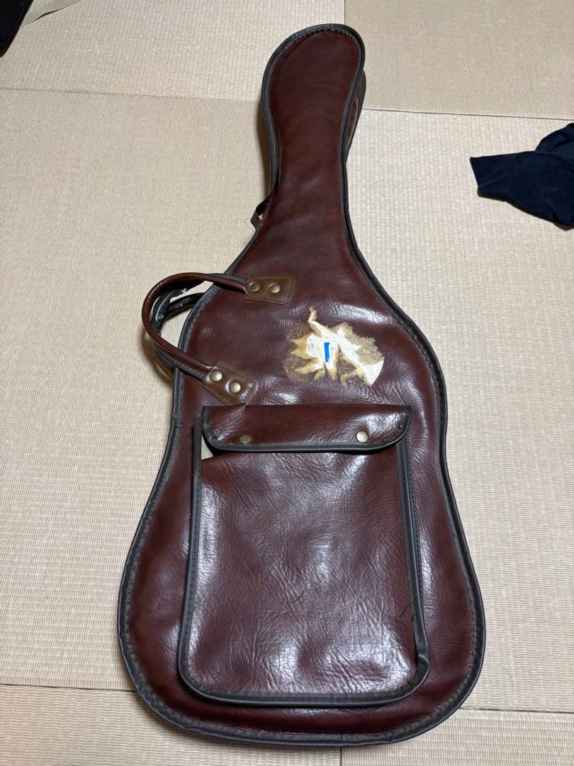 moon PGM ストラトタイプ