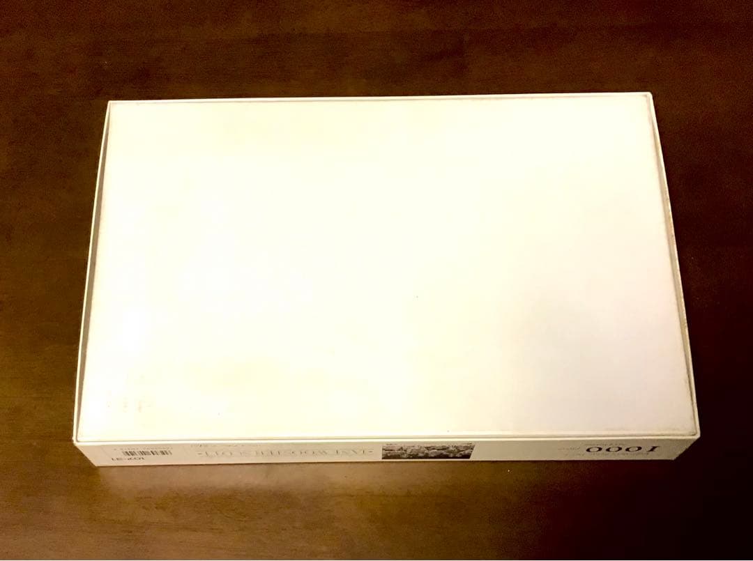 ジグソーパズル　1000ピース　ジェーン・ウースター・スコート