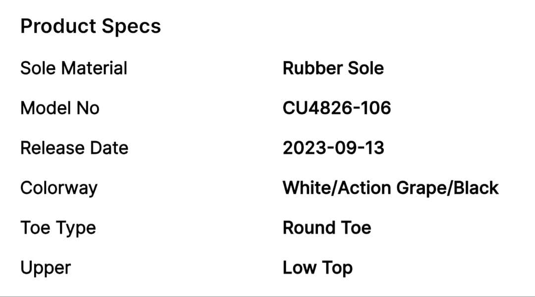 WMNS NIKE AIR MAX APナイキ エアマックス AP 24㎝