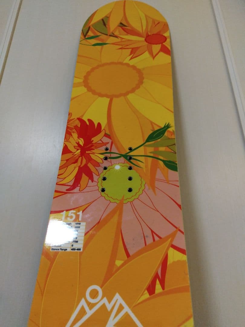 アルペンスノーボード