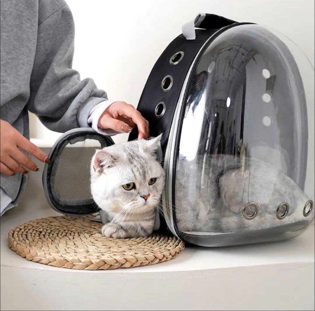 透明キャリーバッグ 中型 猫用