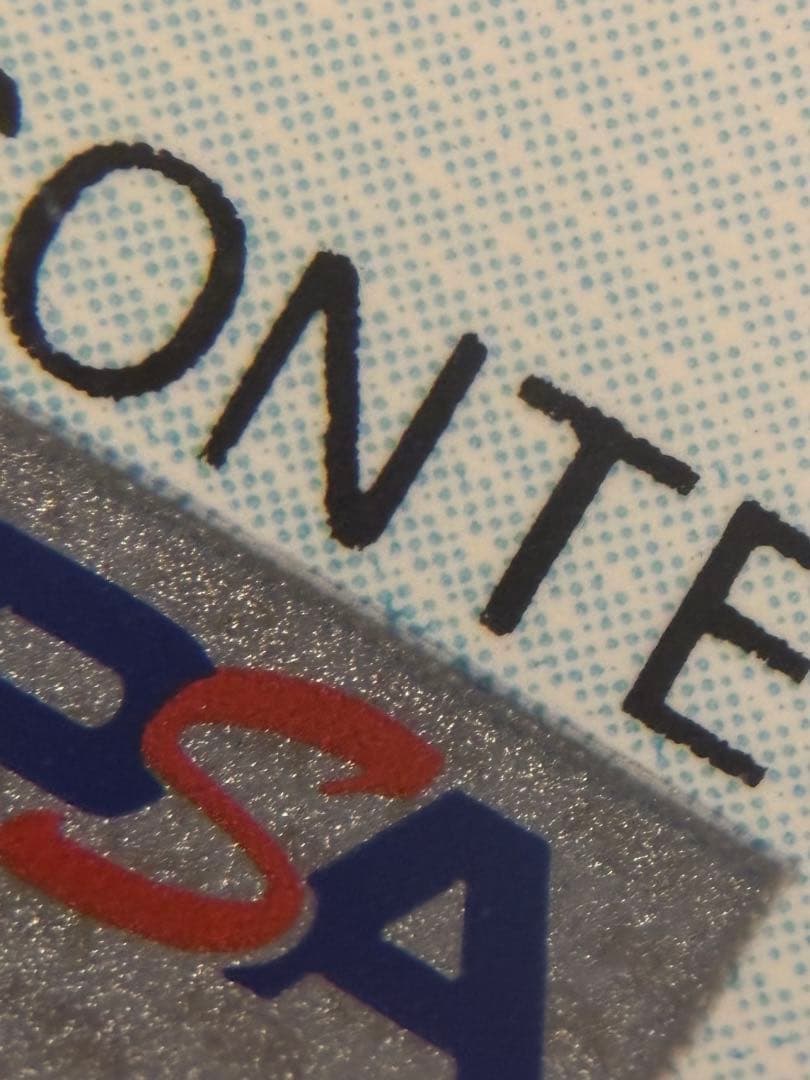 フシギダネ イラストレーションコンテスト　2022 psa10