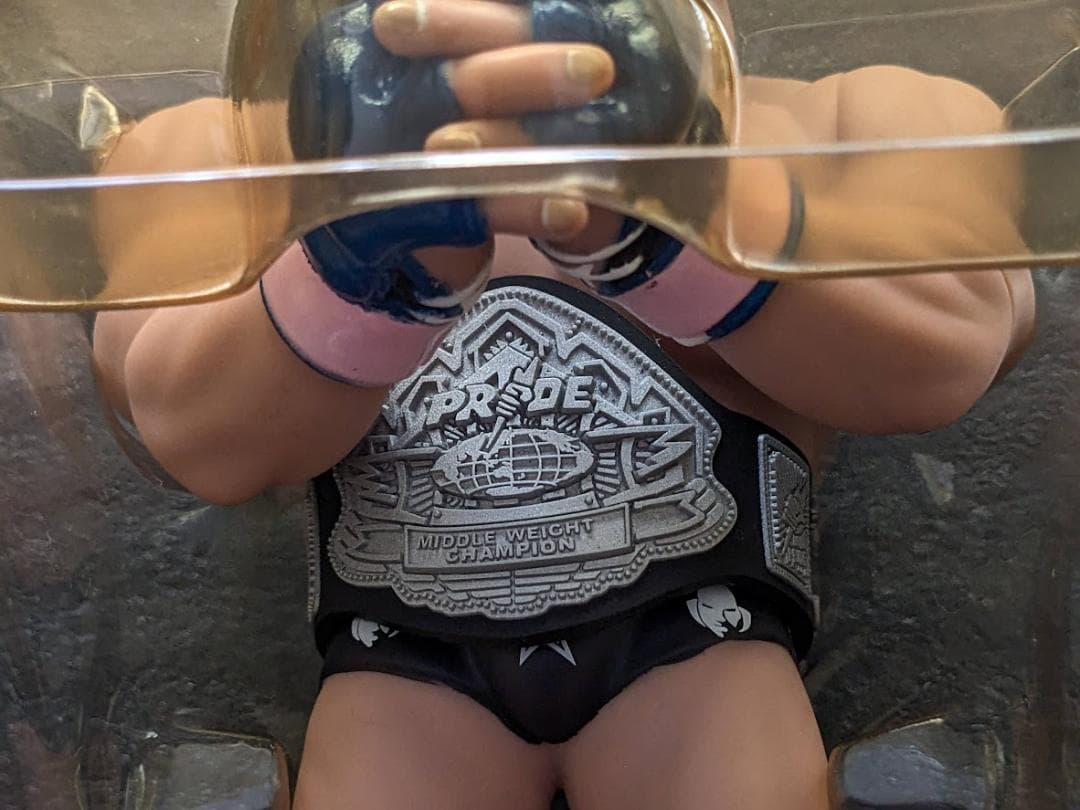 【激レア】PRIDE・UFC ヴァンダレイ・シウバ　サイン入りフィギア