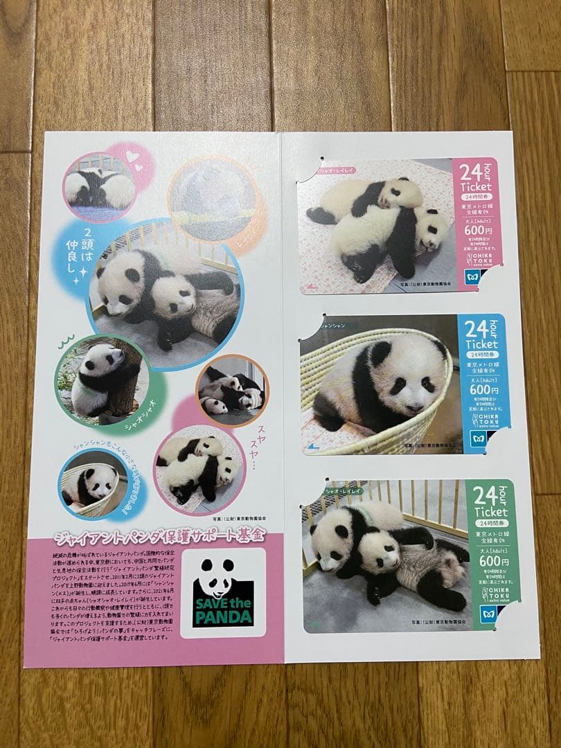 上野動物園　シャオシャオ&レイレイ　タンブラー＋アニア＋クリアファイル＋色々