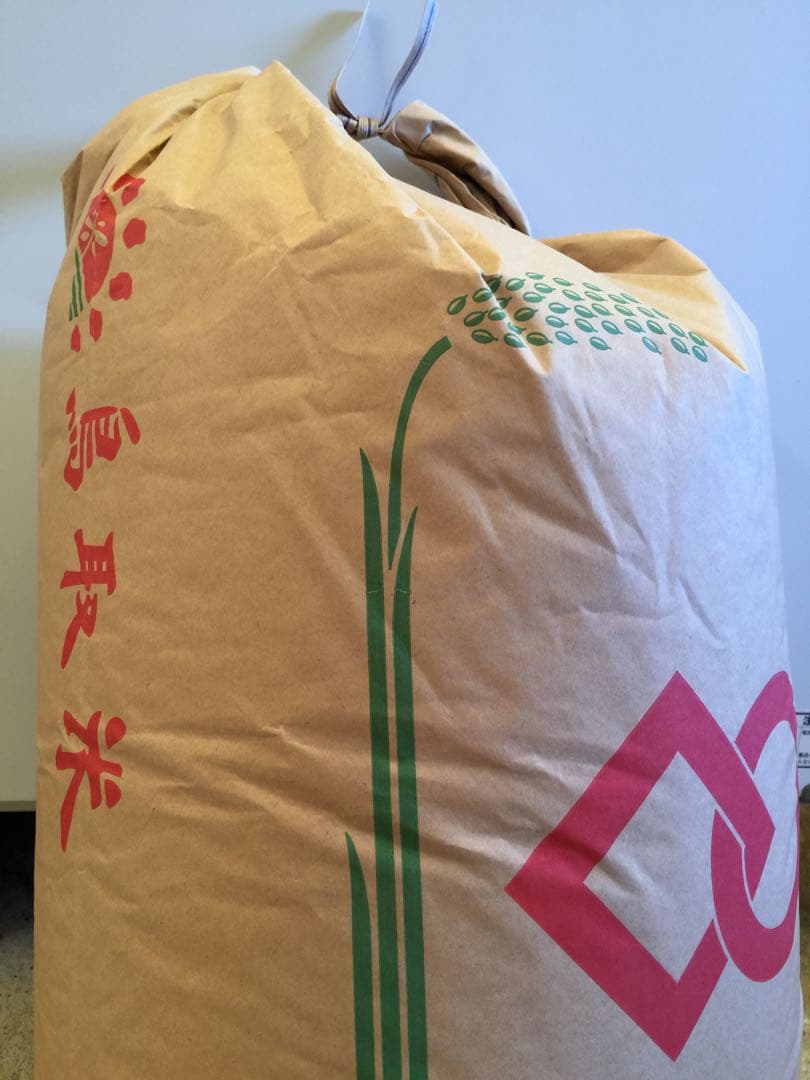 《20キロ玄米を精米して減量》米農家直送米　18kg 鳥取県産コシヒカリ