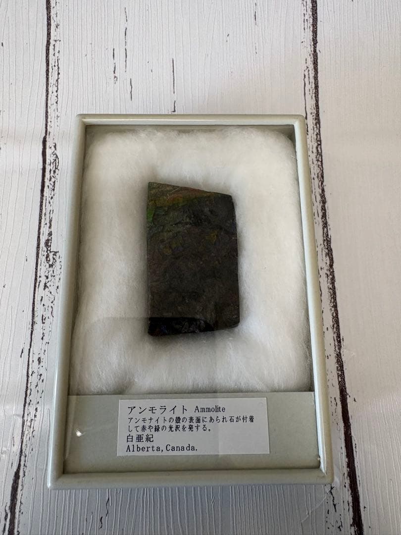 【美品】鉱物　サンゴ　化石　6点セット【総額 1万円以上】