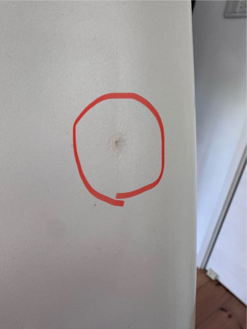 アルメリック チャンネルアイランズ ビスケット フィン付き　5.6