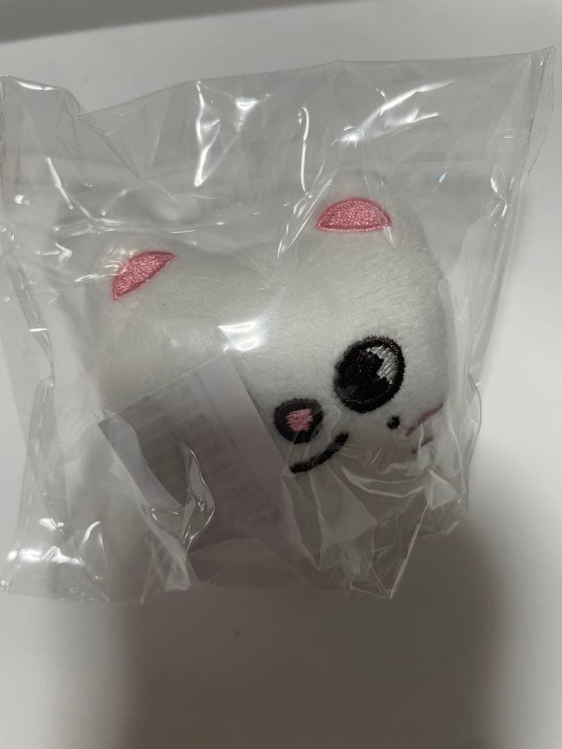 straykids スキズ skzoo ぬいぐるみマグネット コンプリート　新品